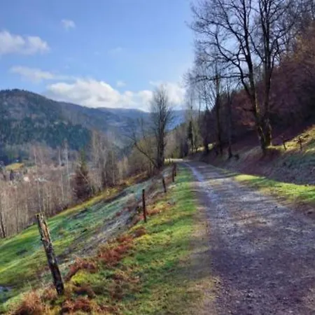Chalet In St Maurice Near Ballon D'alsace *