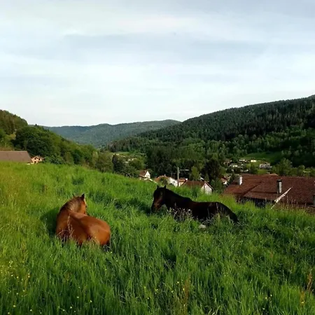 In St Maurice Near Ballon D'alsace
