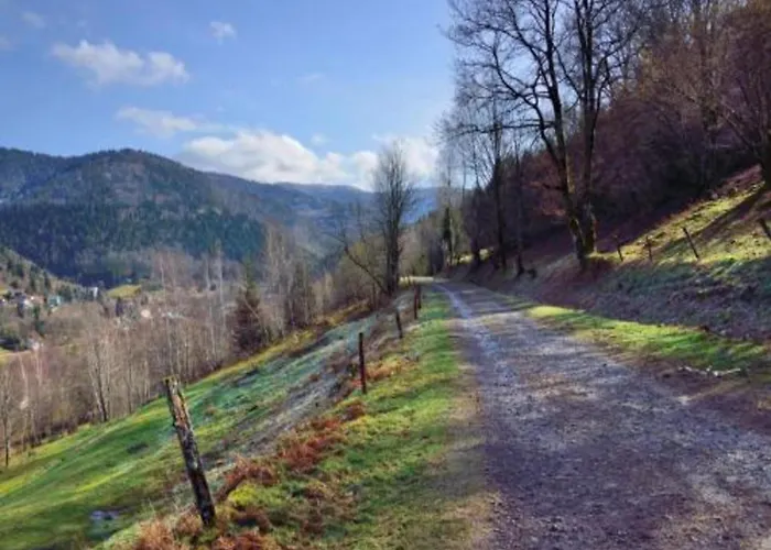 Chalet In St Maurice Near Ballon D'alsace *