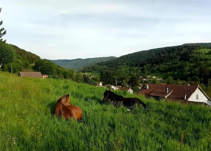 In St Maurice Near Ballon D'alsace